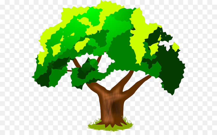 Arbre，Nature PNG