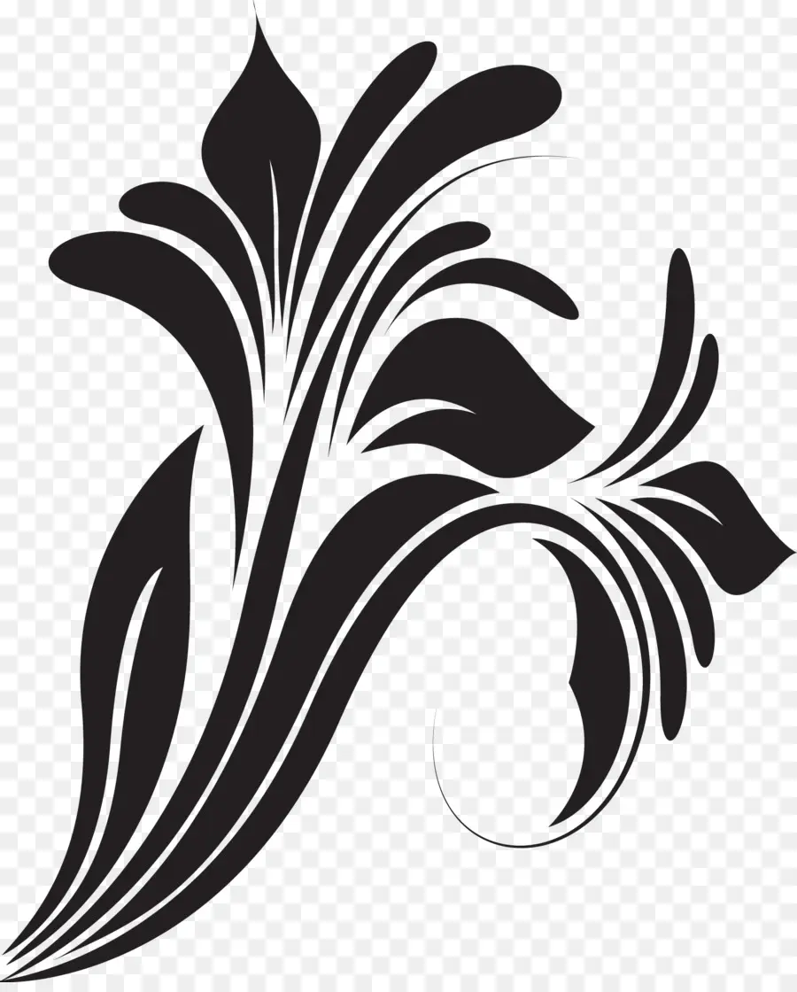 Conception Florale，Noir PNG