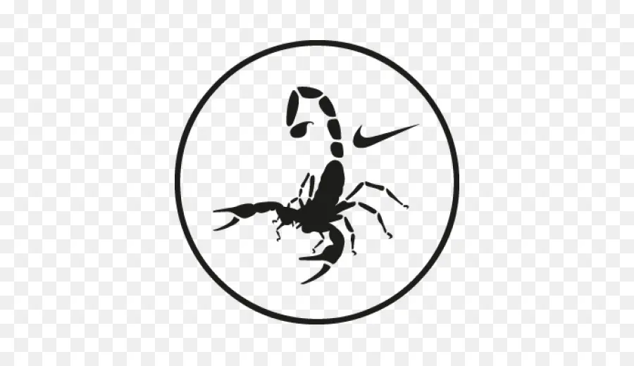 Faire Un Swoosh，Nike Libre PNG