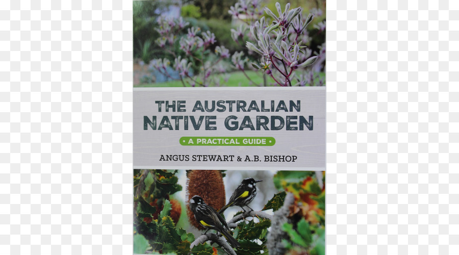 Jardin Indigène Australien Un Guide Pratique，Australie PNG