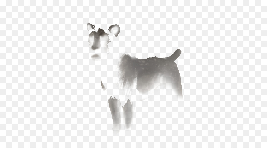 Chat，Chien PNG