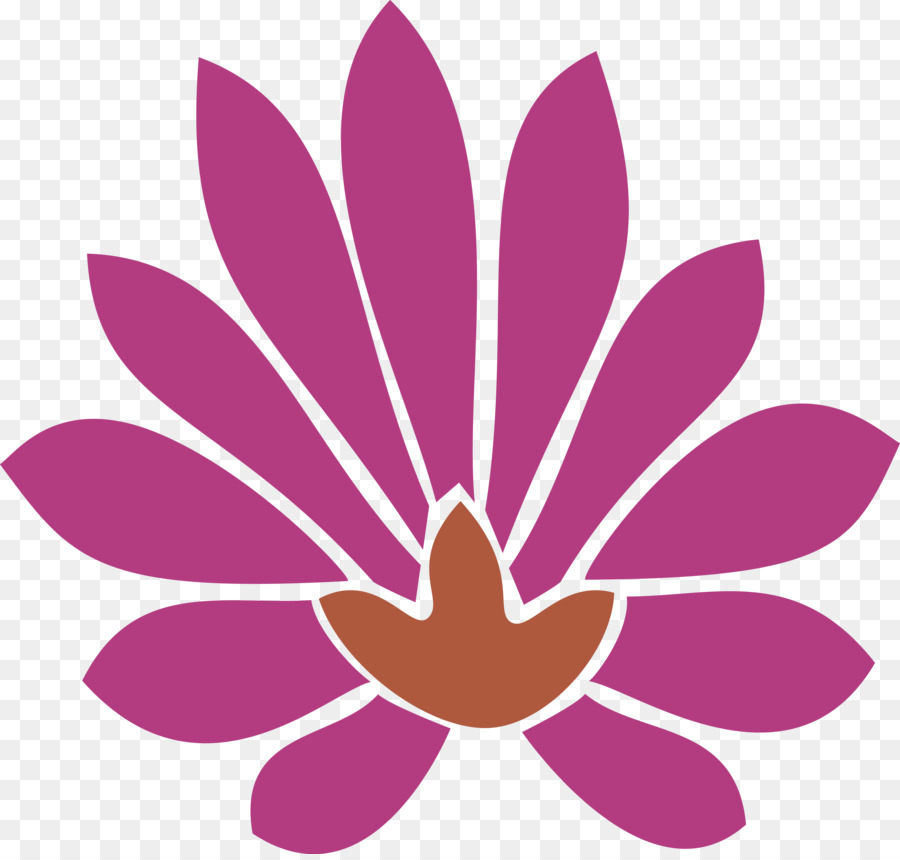 Lotus Rose，Fleurir PNG