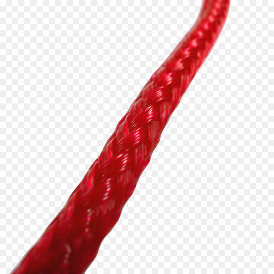 Corde，Laisse PNG