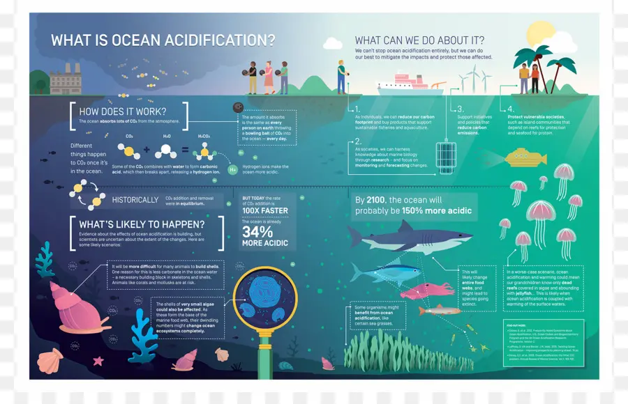 L'acidification Des Océans，Océan PNG