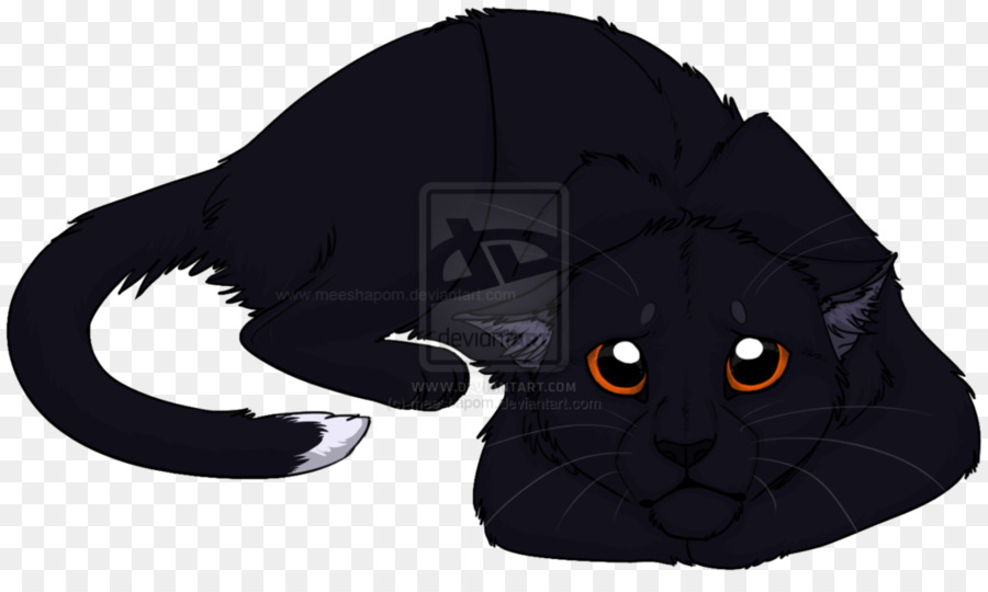 Chat，Noir PNG