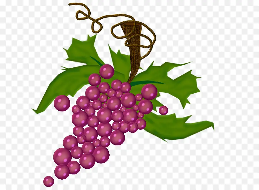 Raisins，Vigne PNG