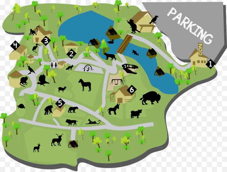 Plan Du Zoo，Animaux PNG