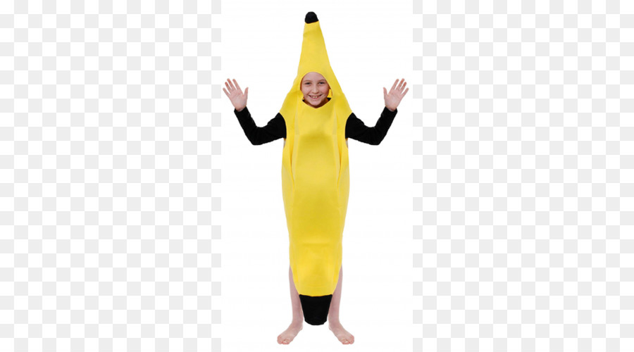 Costume De Fête，Costume PNG