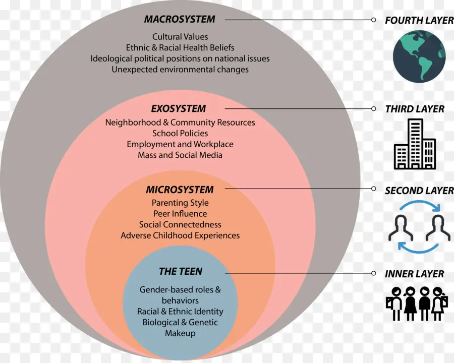 Développement Des Adolescents，Microsystème PNG