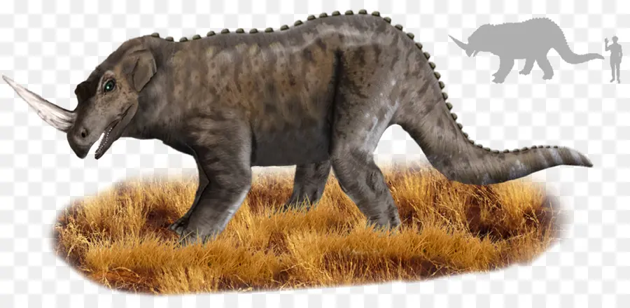 Animal Préhistorique，Cornu PNG