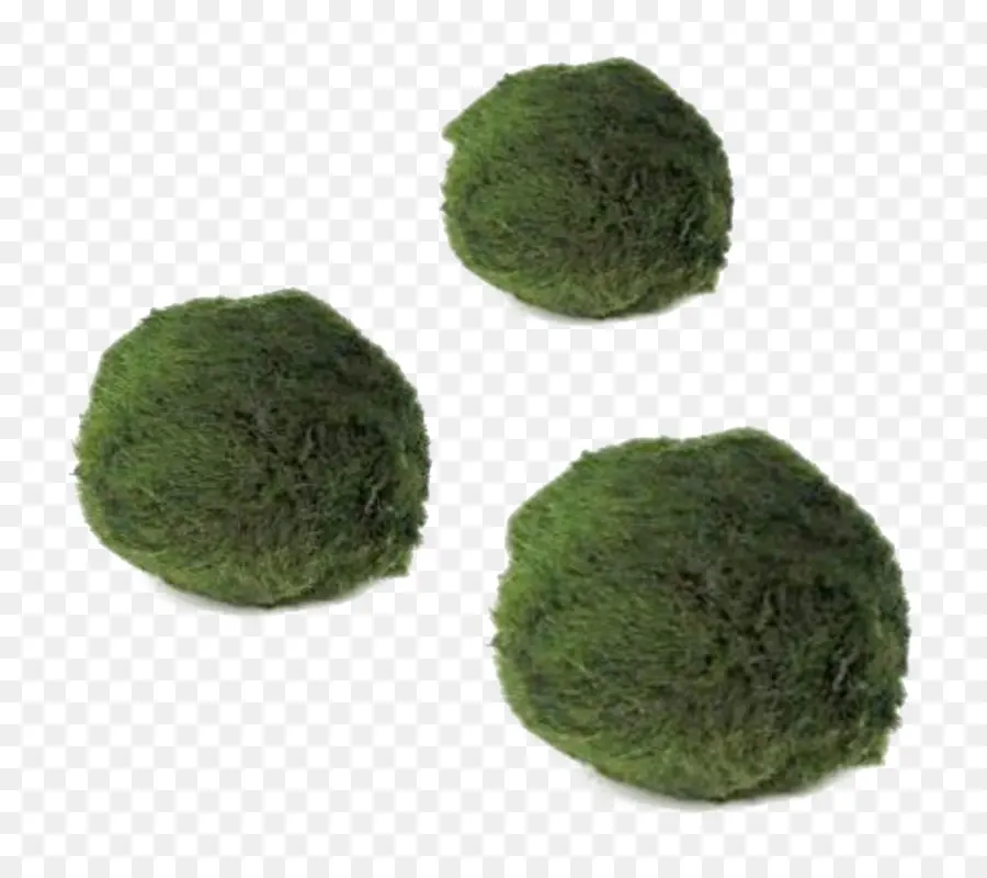 Boules De Mousse，Vert PNG