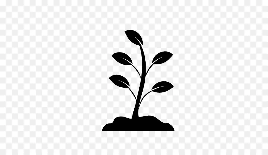 Plante En Pot，Feuilles PNG