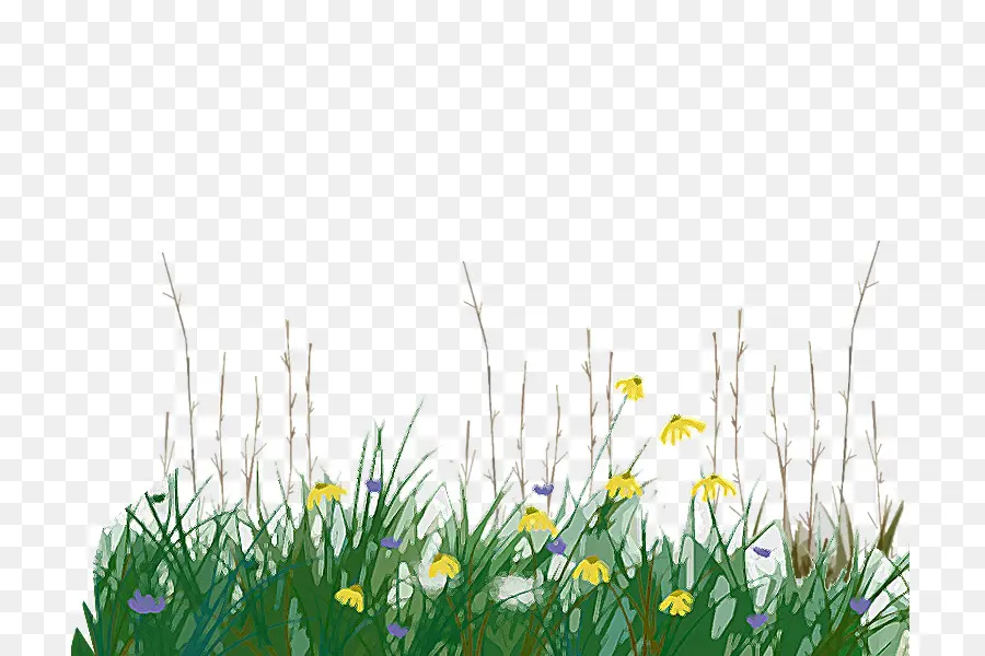 Fleurs，Herbe PNG