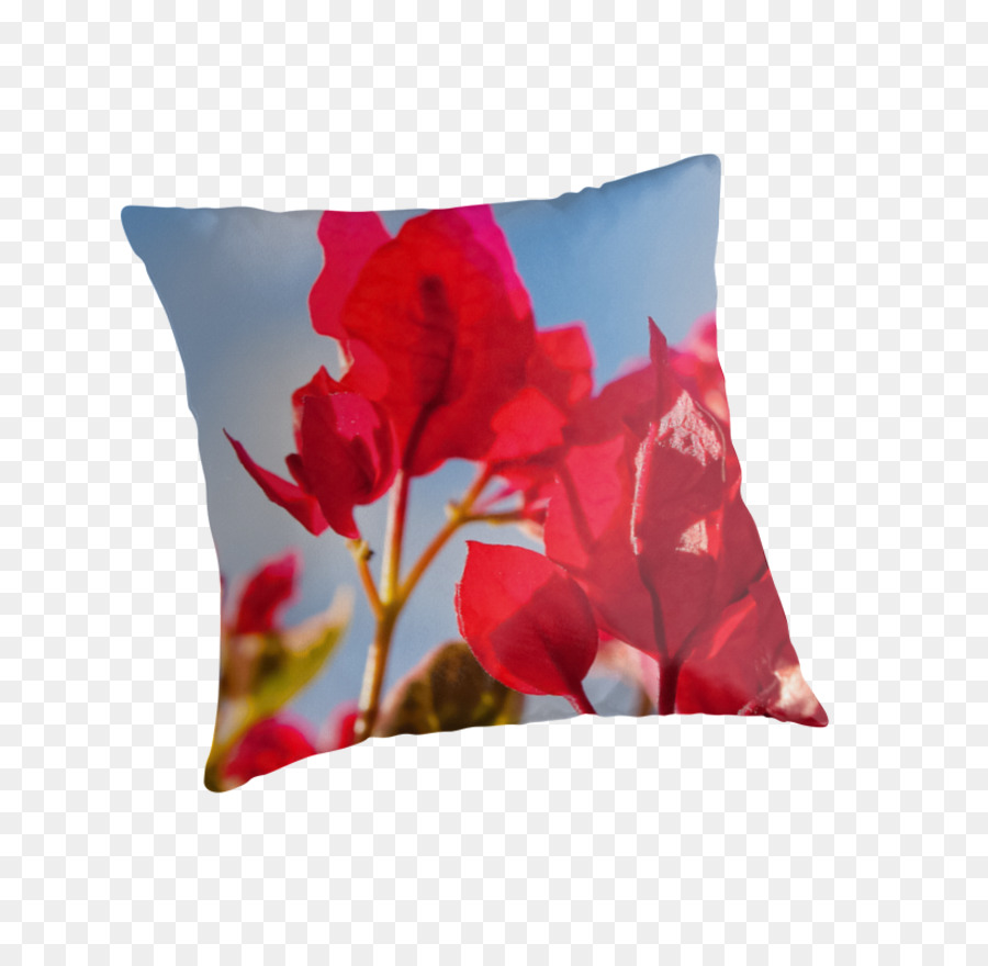 Lancer Des Oreillers，Coussin PNG