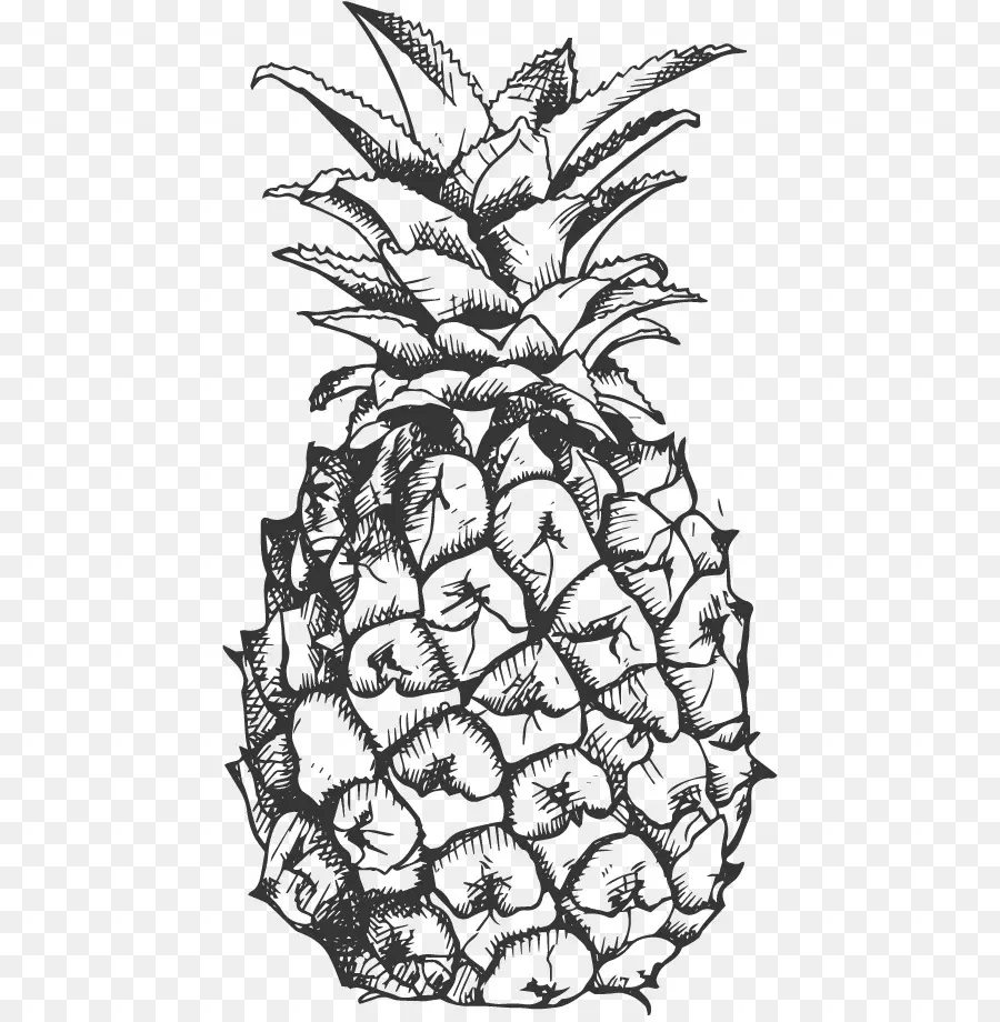 L Ananas，Fruits PNG