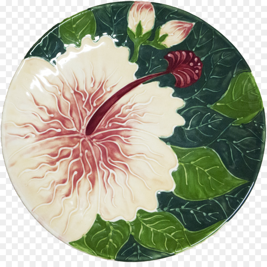 Hibiscus，Design Floral PNG