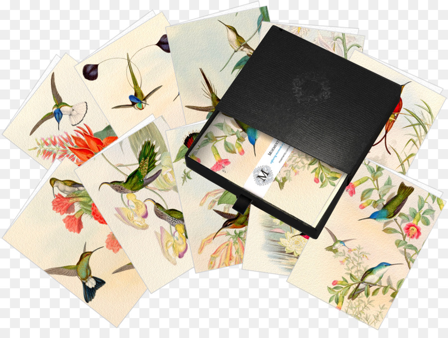 Colibri，Papier PNG