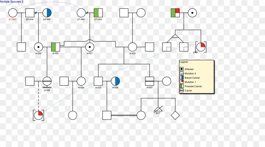 Diagramme，Pedigree Graphique PNG