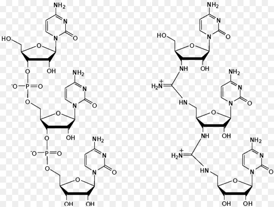 Structure Chimique，Molécule PNG