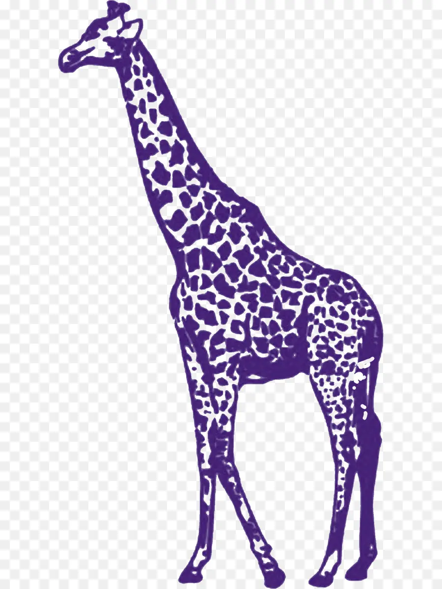 Violet Girafe，Pochoir PNG