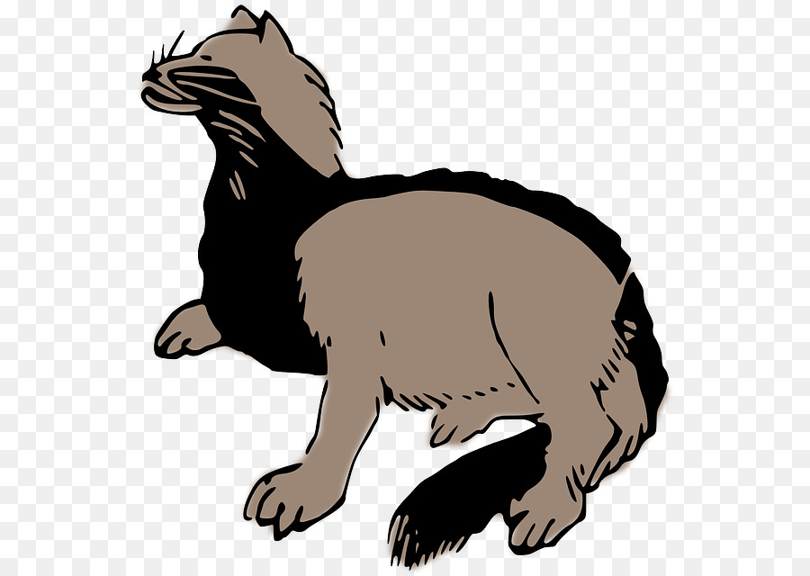 Chat，Mustelides PNG