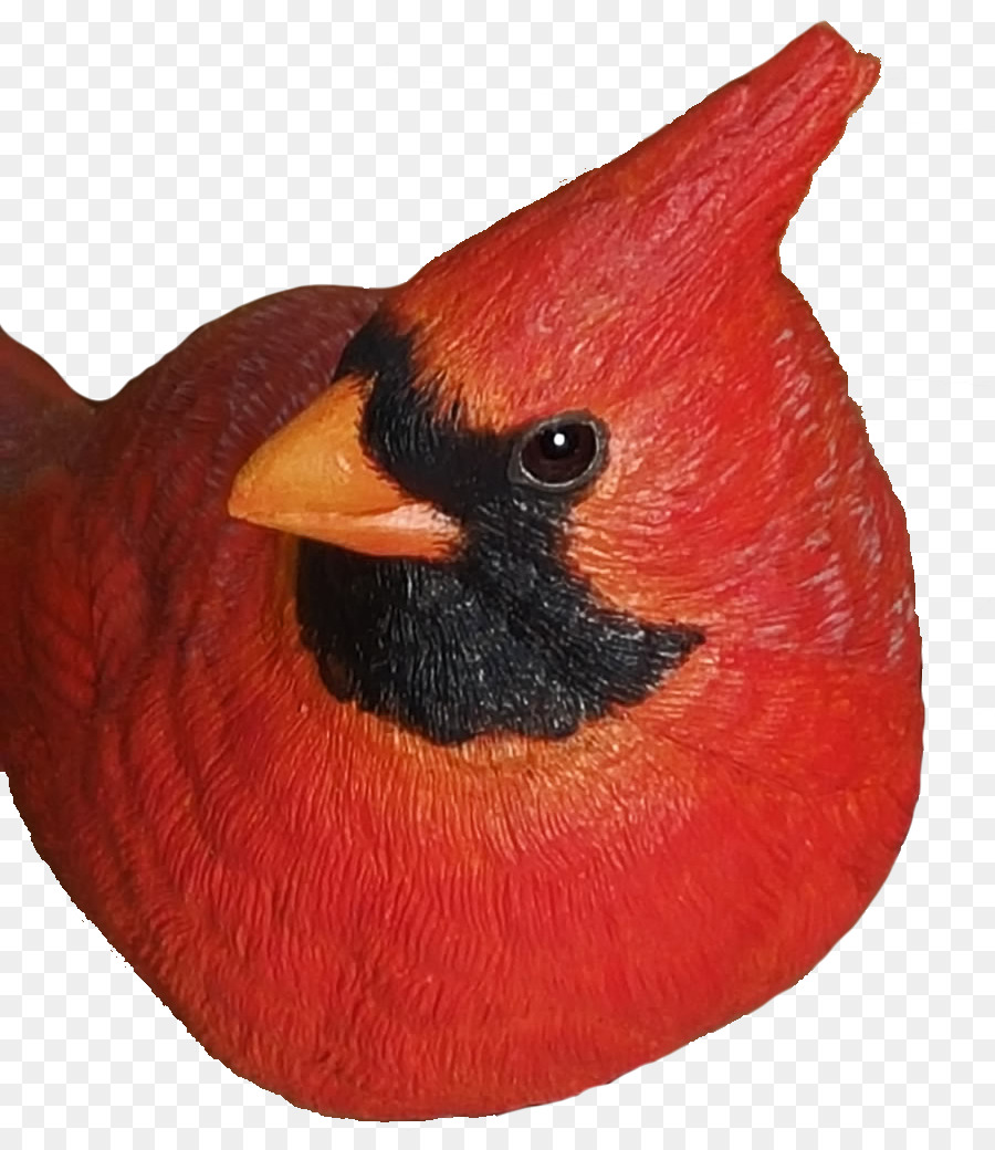 Figurine D'oiseau Cardinal，Oiseau PNG