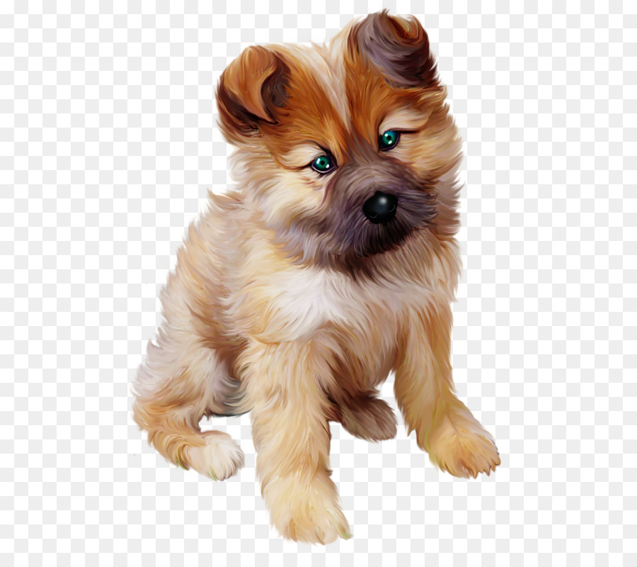 Chiot Brun Et Blanc，Animal De Compagnie PNG