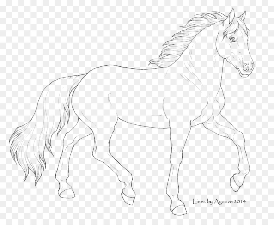 Cheval，Dessin Au Trait PNG