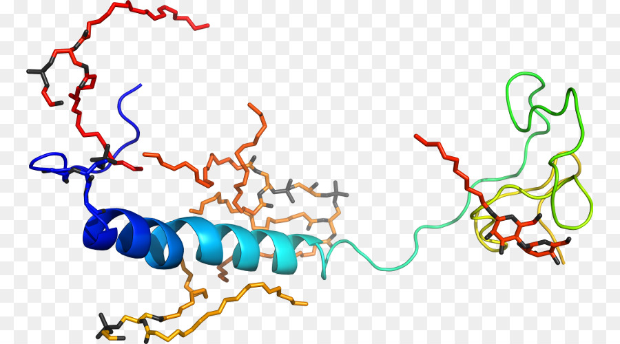 Ligne，Point PNG