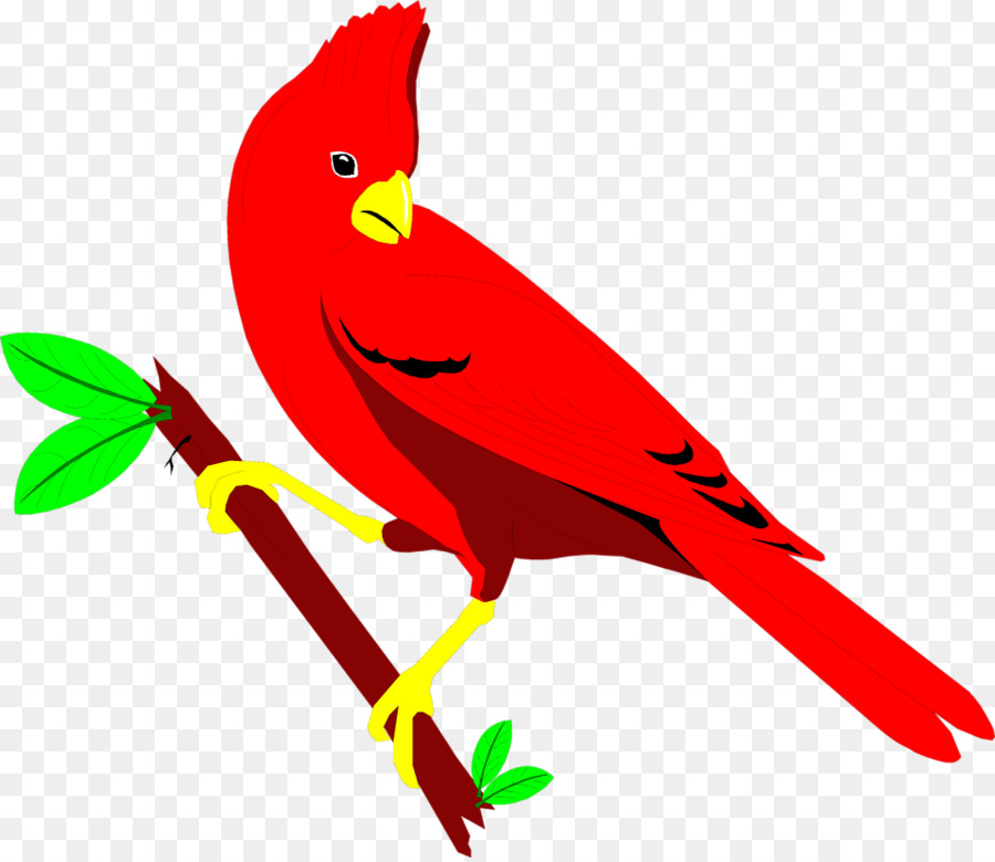 Oiseau Rouge，Batte De Baseball PNG