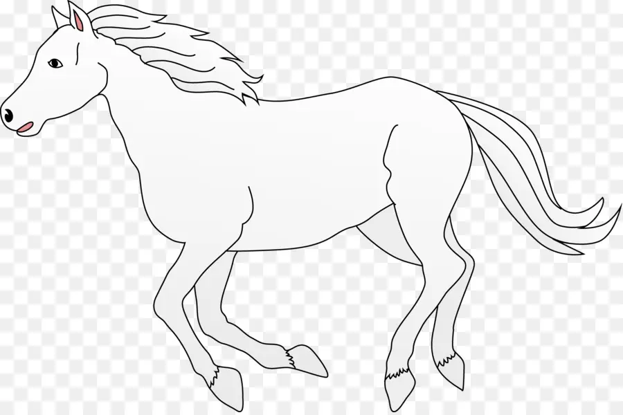 Cheval Blanc，équidé PNG