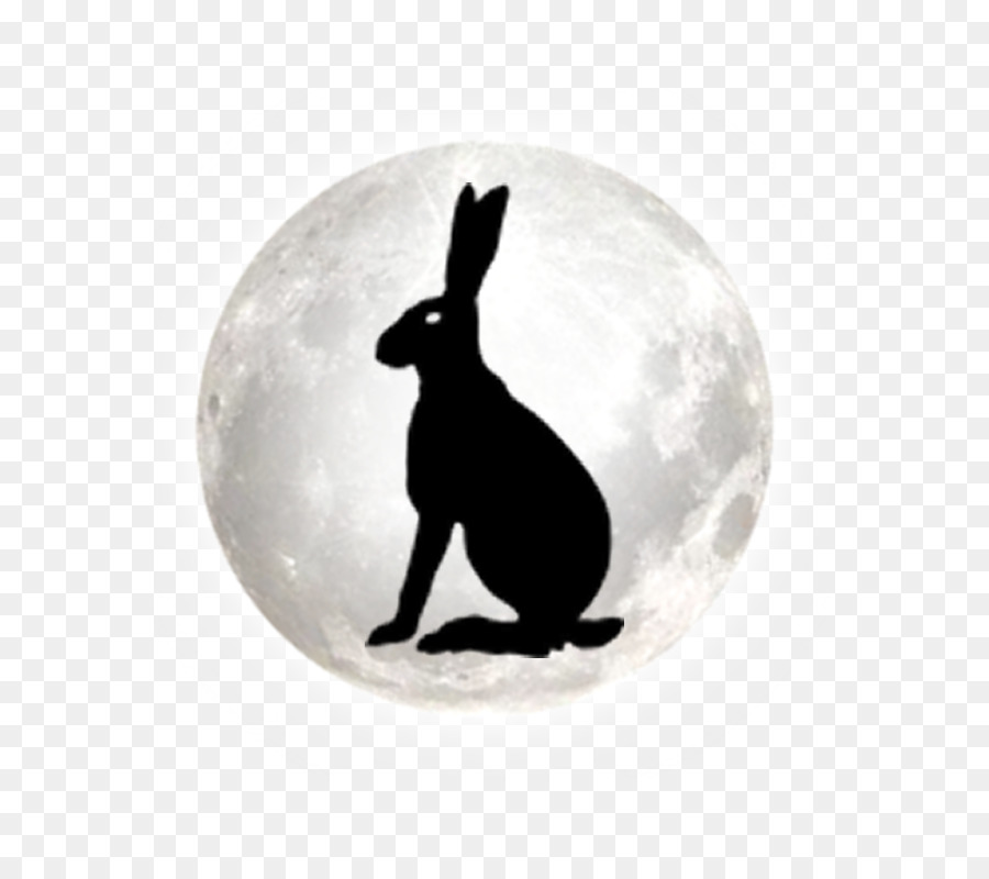 Lapin，Lune PNG