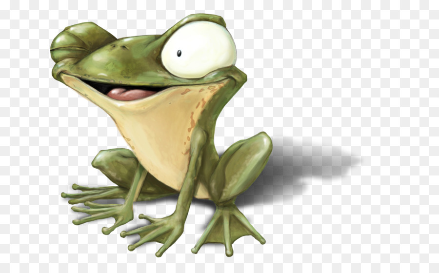 Grenouille Verte，Amphibie PNG