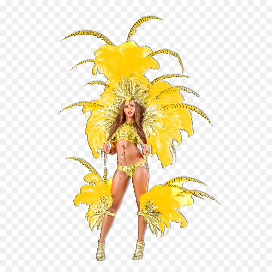 Costume De Carnaval，Plumes PNG