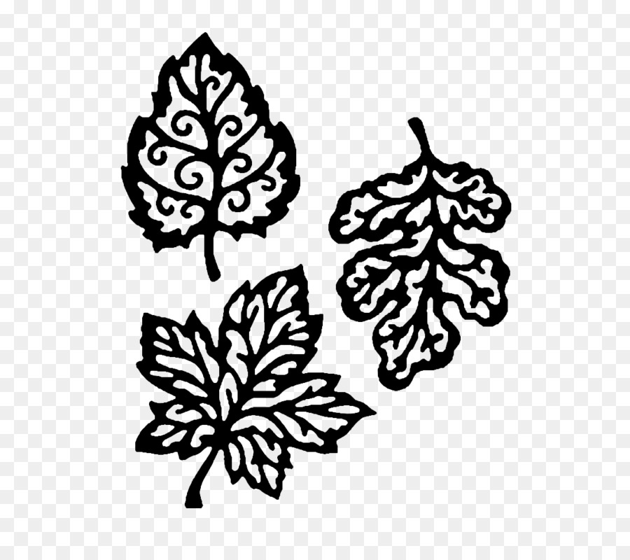 Feuilles，Plantes PNG