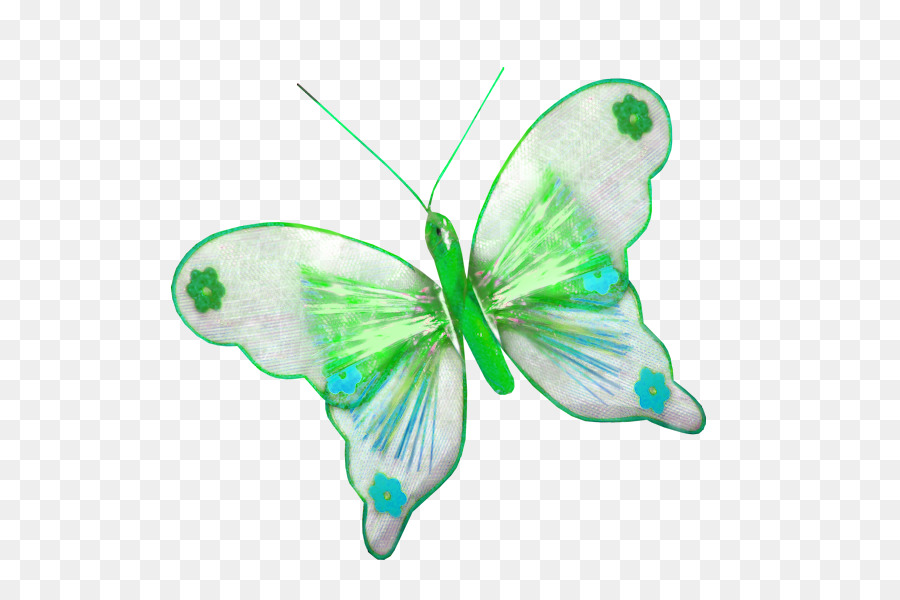 Papillon，Ailes PNG