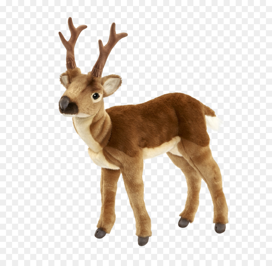 Cerf，Bois PNG