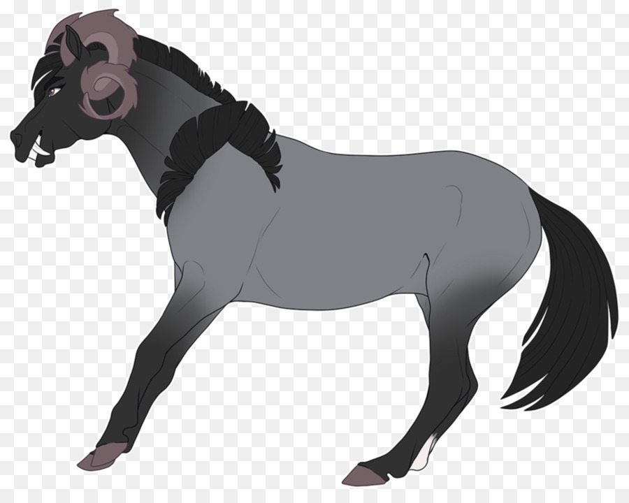 Cheval，équidé PNG