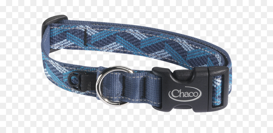 Chien，Collier De Chien PNG