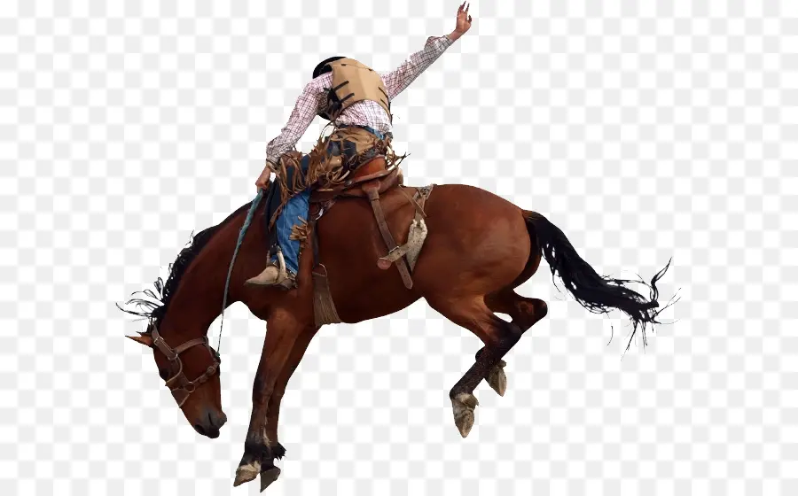 Cheval，Rodeo PNG