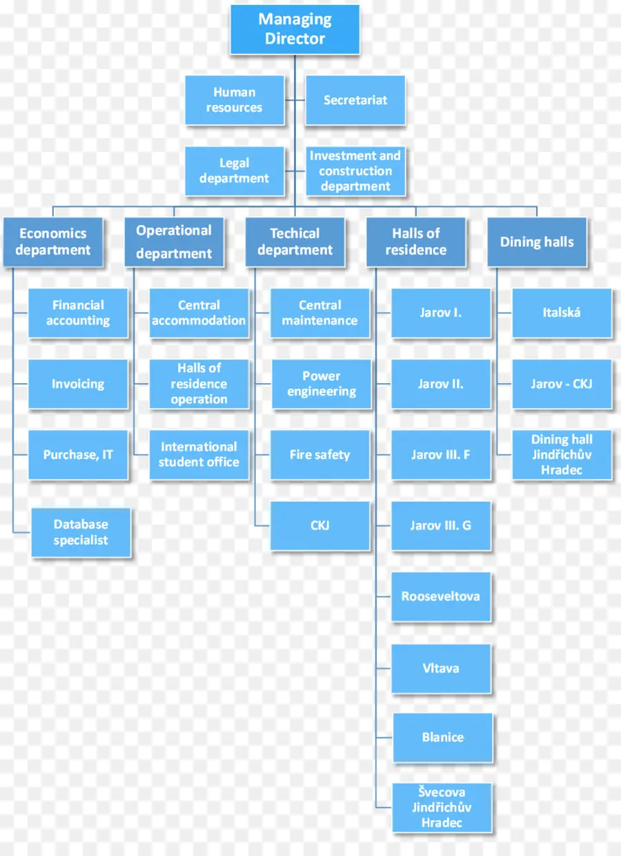 Organigramme，Structure Organisationnelle PNG