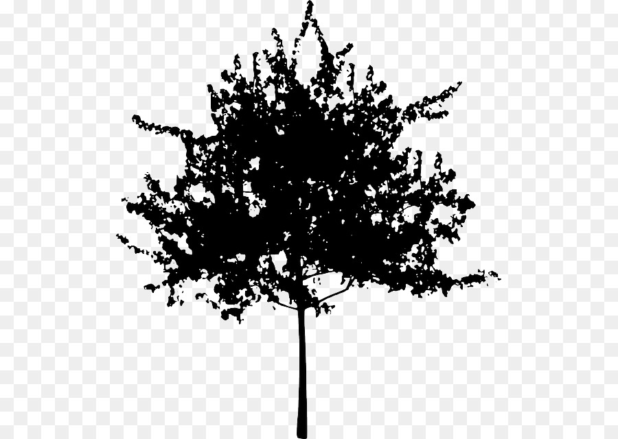 Arbre，Silhouette PNG