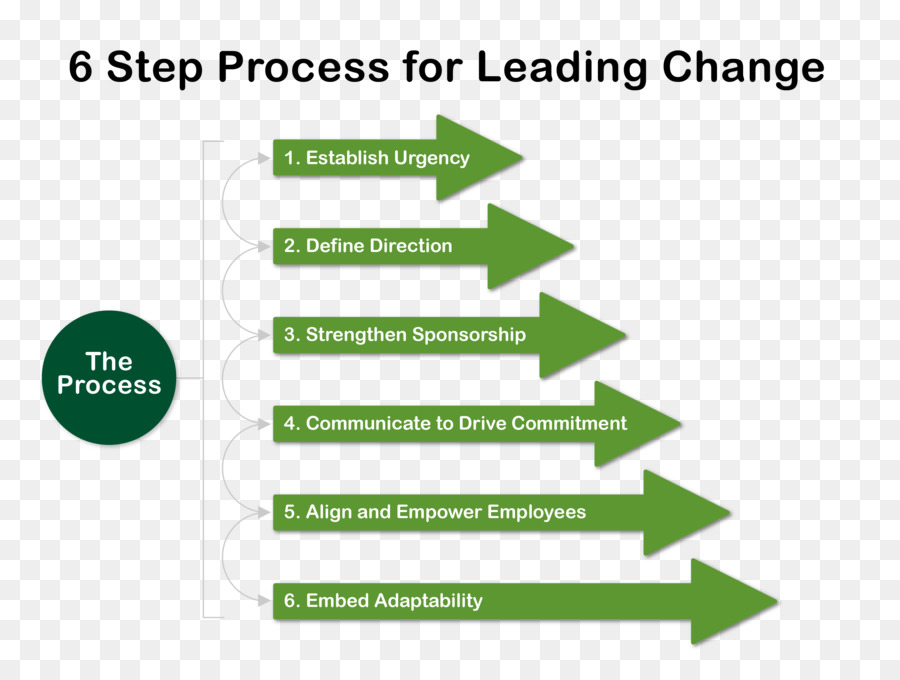 La Gestion Du Changement，Organisation PNG