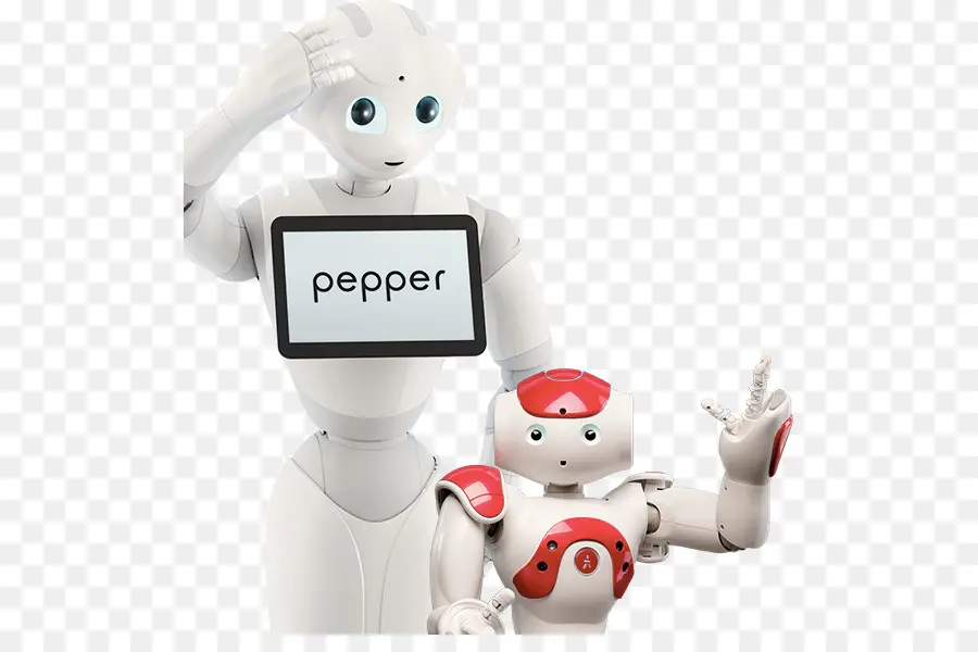 Robot，Poivre PNG