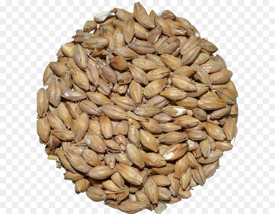 Graines D'orge，Grain PNG