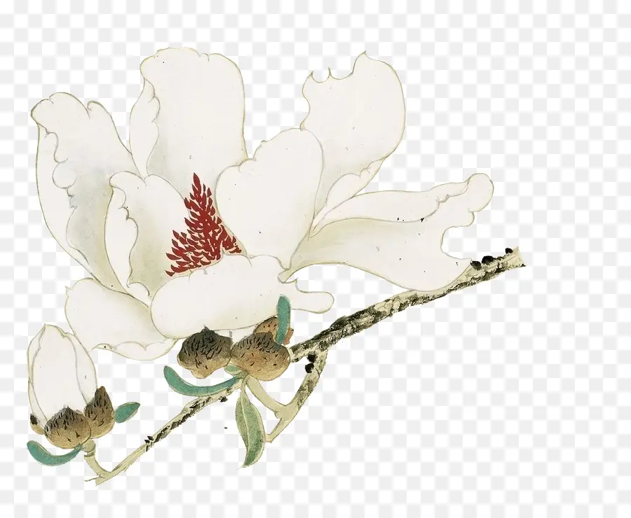 Fleur Délicate，Bifurquer PNG