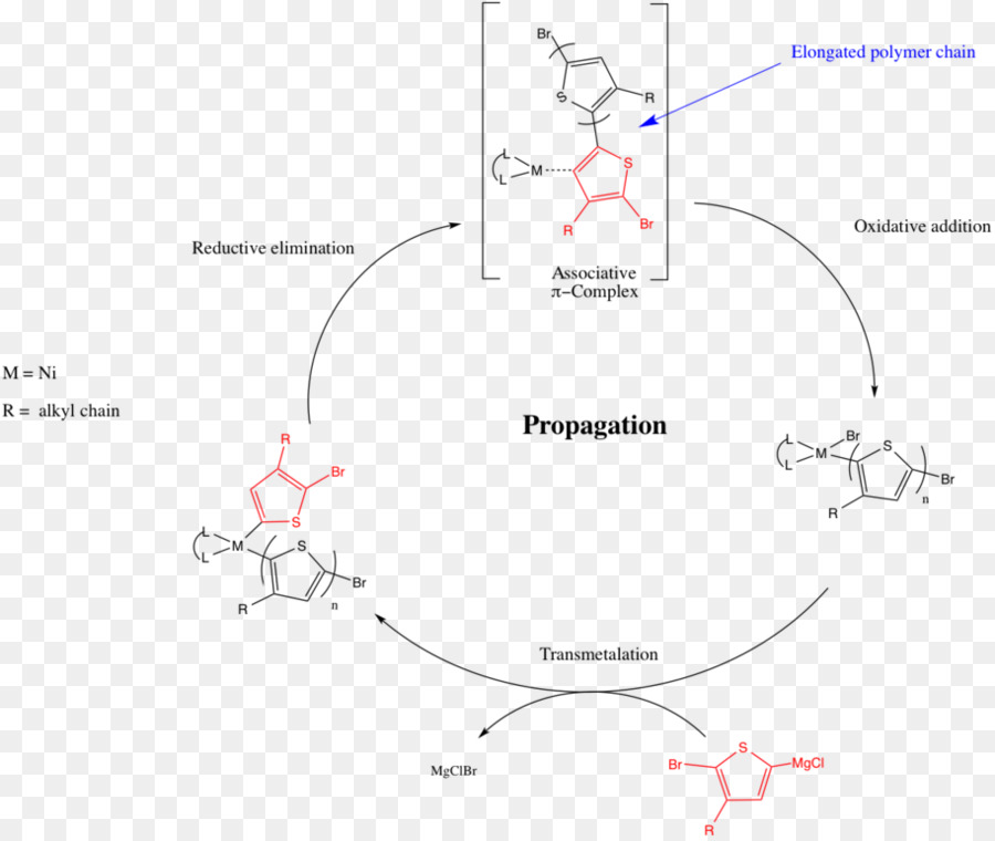 La Polymérisation De L，Stepgrowth Polymérisation PNG