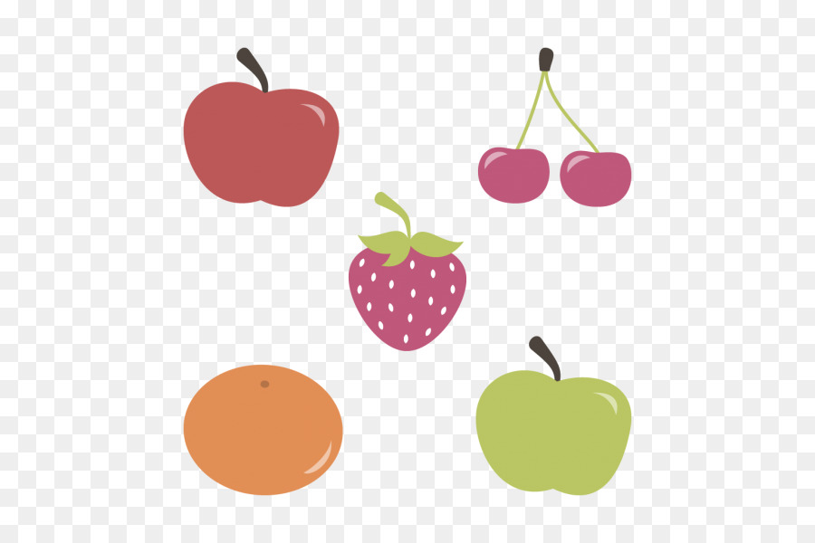 Fruits，Kiwi PNG