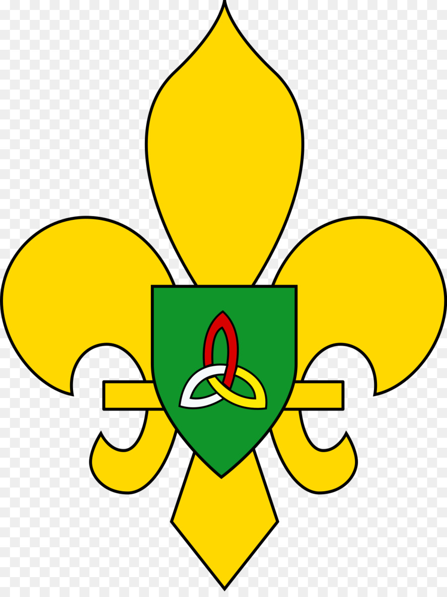 Association Des Scouts De L Irlande，Le Scoutisme PNG
