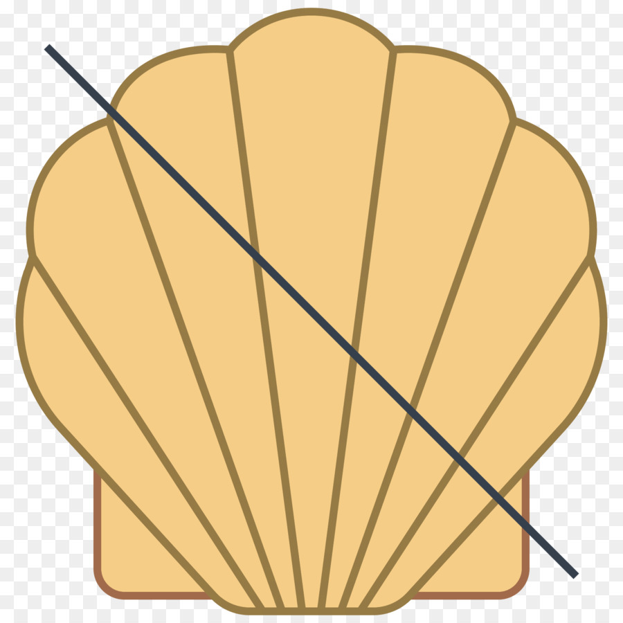 Coquillage，Palourde PNG